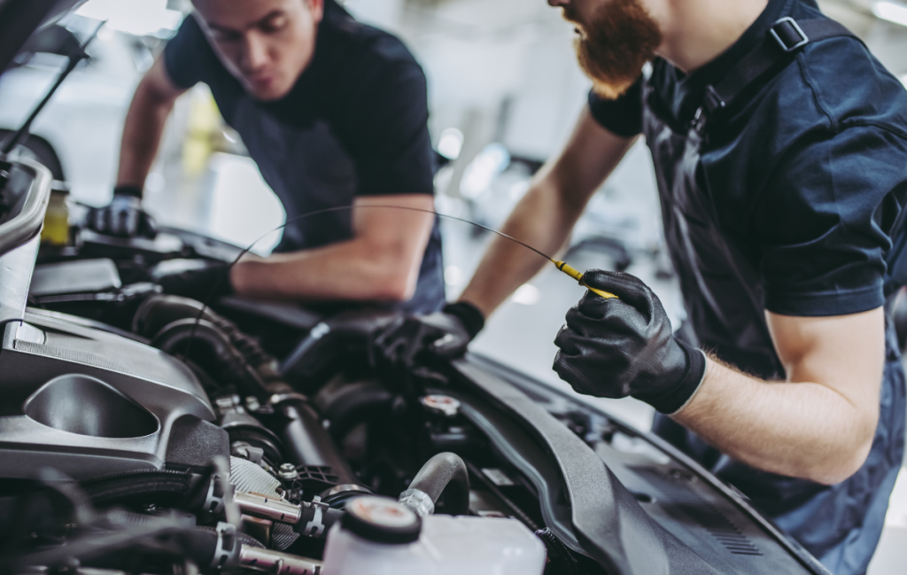 Oferta edukacyjna dla szkol podstawowych w Makurat Serwis 3