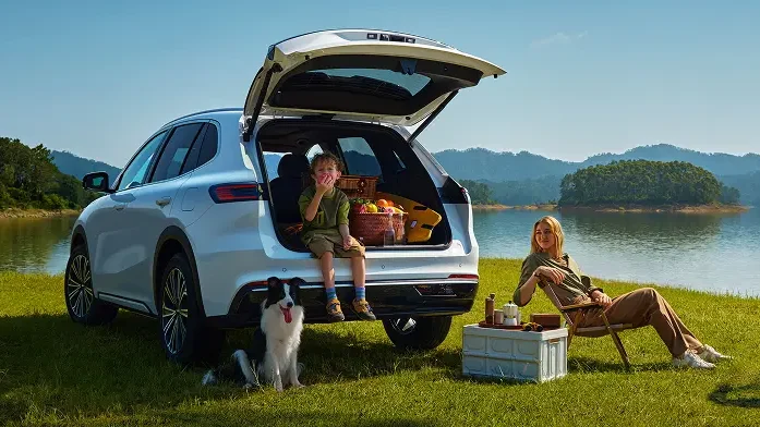 Hi Geely. 13 geely starray em i 4 e1759143028192